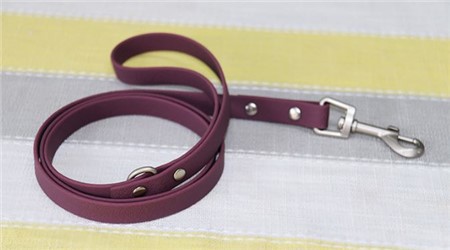 Veekindel metallist konks ülestõstetav koer rihm